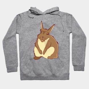 Viscacha Vizcacha Cute Mountain Rodent Lazy Sleepy Hoodie